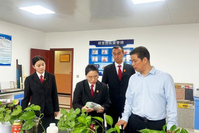 走访代表听心声  送法进企助营商